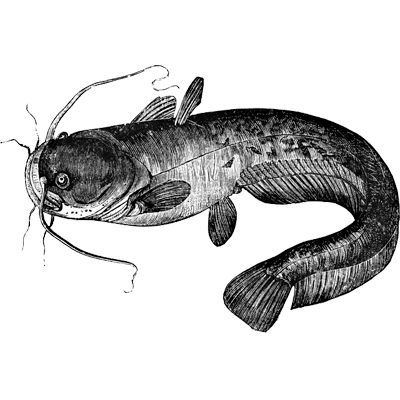 Prompt Engineer badge