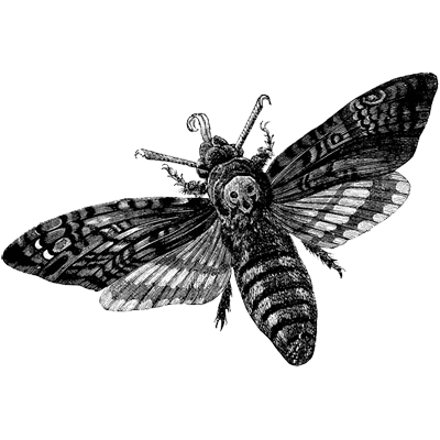 Tutorial Master badge