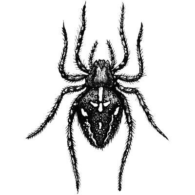 Verified Author badge