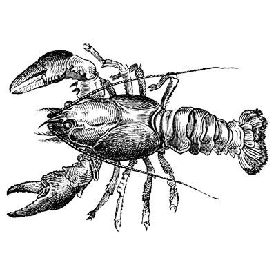 Community Champion badge