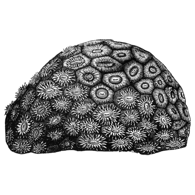 Tutorial Master badge